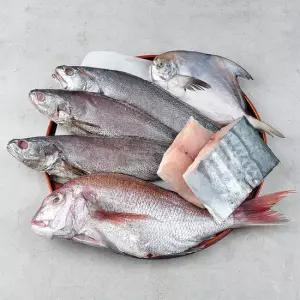 반건조 생선 세트 6마리 구성 (민어 3미 참돔 1미 병어 1미 삼치 1토막)