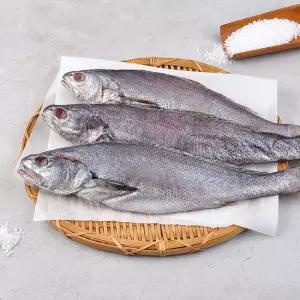 국내산 반건조 통민어 430g 3팩 개별포장