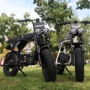 엑스트랙 몬스터 쿱펫 COOP PET 팻바이크 애견동승 자토바이 48V 10A 바구니 전동 전기 자전거