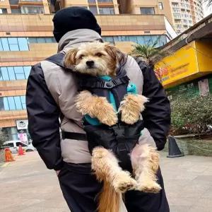 강아지 아기띠 가방 반려견 숄더 배낭 개 캐리어