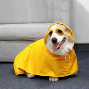 강아지 투명 캡모자 우비 M 1P 레인코트 비옷