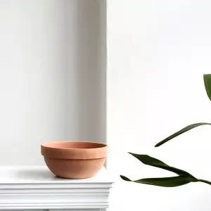 베트남 토분 정반원 20x9cm 살구색 화분+R17받침인테리어 깔끔한 거실 개업축하 식물키우기 반려 홈가드닝