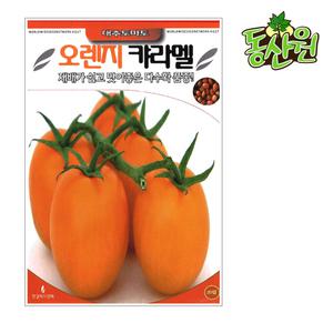 오렌지캬라멜 방울토마토씨앗 20립 미니토마토 종자 채소씨앗