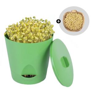 집에서 콩나물키우기 콩나물 시루 재배기 1회 수확용 콩포함