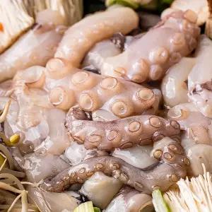 냉동 절단낙지 손질, 3kg (500gX6) M 업소용