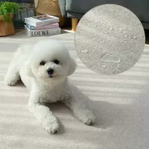 [텐바이텐]포시즌 방수 여름 카페트 거실 패드 카페트_200x250cm