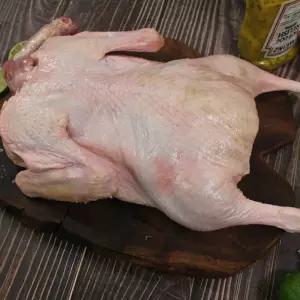 늘찬 통오리 2kg 이상 백숙용 오리고기