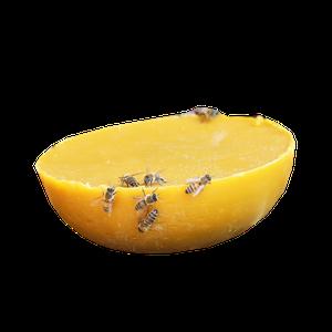 천연 밀랍 밀납 벌 유인 왁스 꿀벌통 양봉상자 유인제