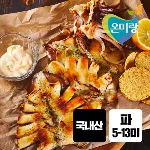 영덕 온미랑 국내산 반건조 오징어 5-13미 [파] 1kg 내외