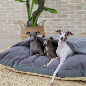 강아지 침대 컴피베드 차콜그레이 L 프리미엄 반려견 포켓 이불 이탈리안그레이하운드 국내제작 편한방석 소파