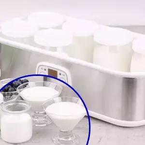 가정용 요구르트 만드는 제조기 수제 일주일 요거트 플레인 메이커 가성비좋은 아기간식 기계 편리한 한컵