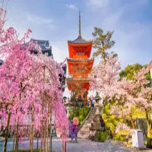 오사카4일#스파월드#풀패키지or유니버셜or1일자유#3대특식/오사카,교토,고베,아라시야마