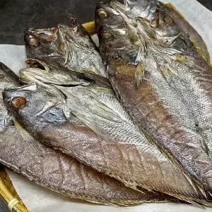 반건조 민어 5미