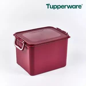 [롯데백화점]타파웨어 시그니처 김치 키퍼 10L(H)