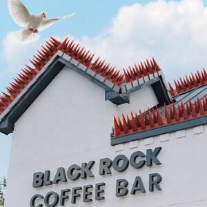 버드스파이크 조류퇴치 까치퇴치 조류퇴치 d5