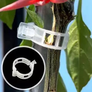 클립 식물지지대 20P 오이집게 타이 고정 투명 오이집게 식물클립 토마토집게 식물집게