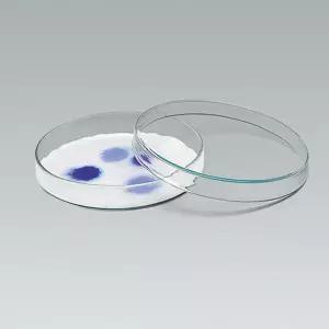 페트리접시(샬레) -120mm