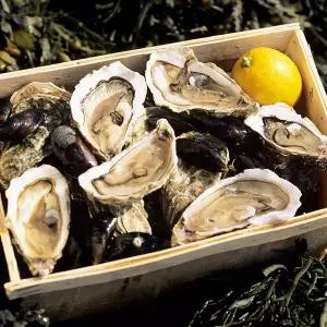 당일조업 통영 손질 하프쉘 하프셀 생굴 구이용 1단 25~30미