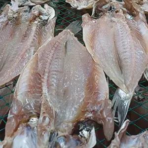 [딜픽]반건조 자반 백조기 4미/총700g내외