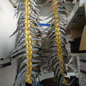 속초 양미리 /햇 양미리 바짝건조 1두름, 2팩