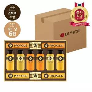 LG설선물세트 프로폴리스 M호 x 6개 (1BOX)