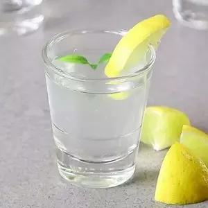 허드슨 진토닉 보드카잔 1개 (WFK99J4)