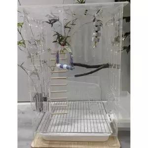 앵무새장 아크릴 새장 투명 소형 반려조류 케이지