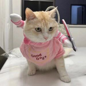 강아지 고양이 코스프레 코스튬 재밌는 할로윈 용품 소품 귀여운 처키 파티 의상