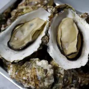 삼베체굴 거제도 삼배체 굴 프리미엄 석화