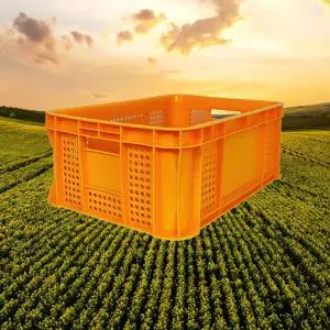 운반상자2호 노랑 5개/사각소쿠리 이사바구니 박스