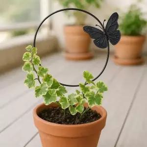 고품질 원형 나비 식물 지지대 2p세트 플랜테리어 지주대 (WFKDZ0S)