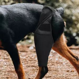 강아지 통깁스 슬개골 고관절 보호대 스트랩 XL밴드 펫대 팻대 애견대 관절대