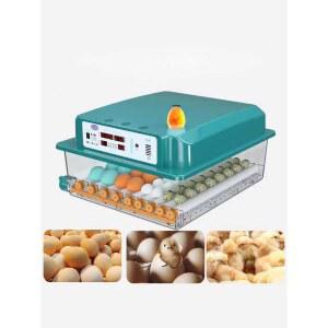 병아리 부화기 조류 계란 양계장 48장 메추리알 30알 녹색 32알 온도 9알 정전 달걀