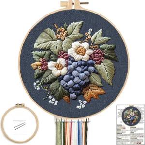 초보자를 위한 포누이 자수 키트 후프가 있는 성인을 포도 과일 꽃 사전 스탬프 패턴 쉽게 따라할 수 색상