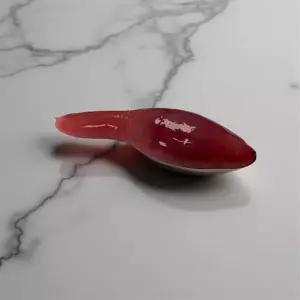 개불미끼 청개비 염장개불 낚시용개불 갯지렁이 염장혼무시