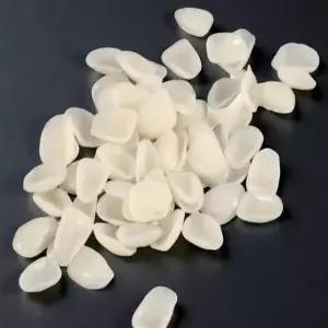 앞니 임시 치아 의치 가짜이빨 가짜치아 인공치아 모조 모형치아