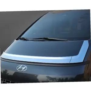 스타리아 본넷가드 아크릴 후드가드 버그 디플렉터