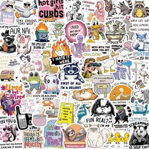160 PCS 재미있는 스티커, 노트북, 휴대폰, 범퍼, 킨들, 저널, 스크랩북용 방수 비꼬는 밈 비닐 물병 스티커