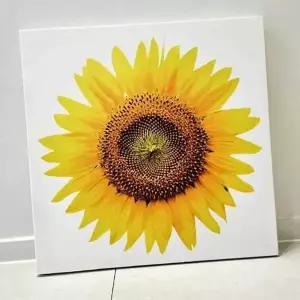 돈 해바라기 액자 그림 인테리어 사진 큰 들어오는 (KYR-WFGYBJP)
