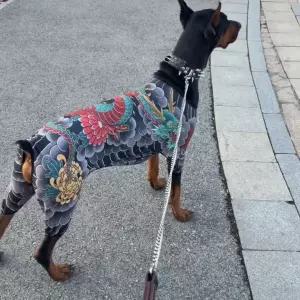 멋지고 스타일리시한 대형견 반려동물 문신 디자인 네발 달린 옷 고양이 강아지 의류 가을