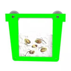 식물키우기 과학키트 식물씨앗 발아주머니 씨앗키트 생물실험 식물키트