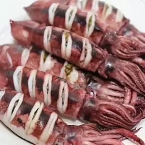 싱싱햇 생물 초코 오징어 통오징어 생오징어 750g