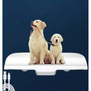 강아지 동물 체중계 스마트 반려견 건전지 저울 중형견 허스키 대형 배터리 몸무게측정