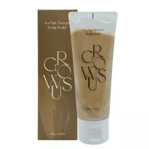 그로우어스 씨솔트 테라피 두피 스케일러 120g 1개