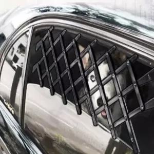 자동차 애완동물 창문 안전망