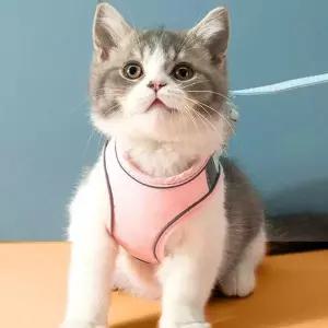 하네스 리드줄 고양이 야간 하네스 M 반려견 애견하네스 강아지목줄