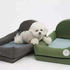 면 베게쿠션 소형견전용 침대 A906212 사용이편리한
