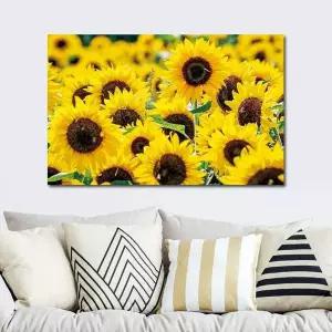 ( QXX959G1 출고옵션 - 35x55cm ) 돈을 부르는 해바라기 캔버스