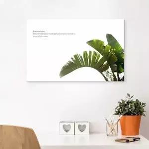 ( VOH795O1 출고옵션 - 35X55cm ) 북유럽감성 캔버스액자 바나