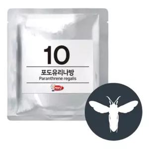 페스트세븐 포도유리나방 퇴치 유인제 트랩